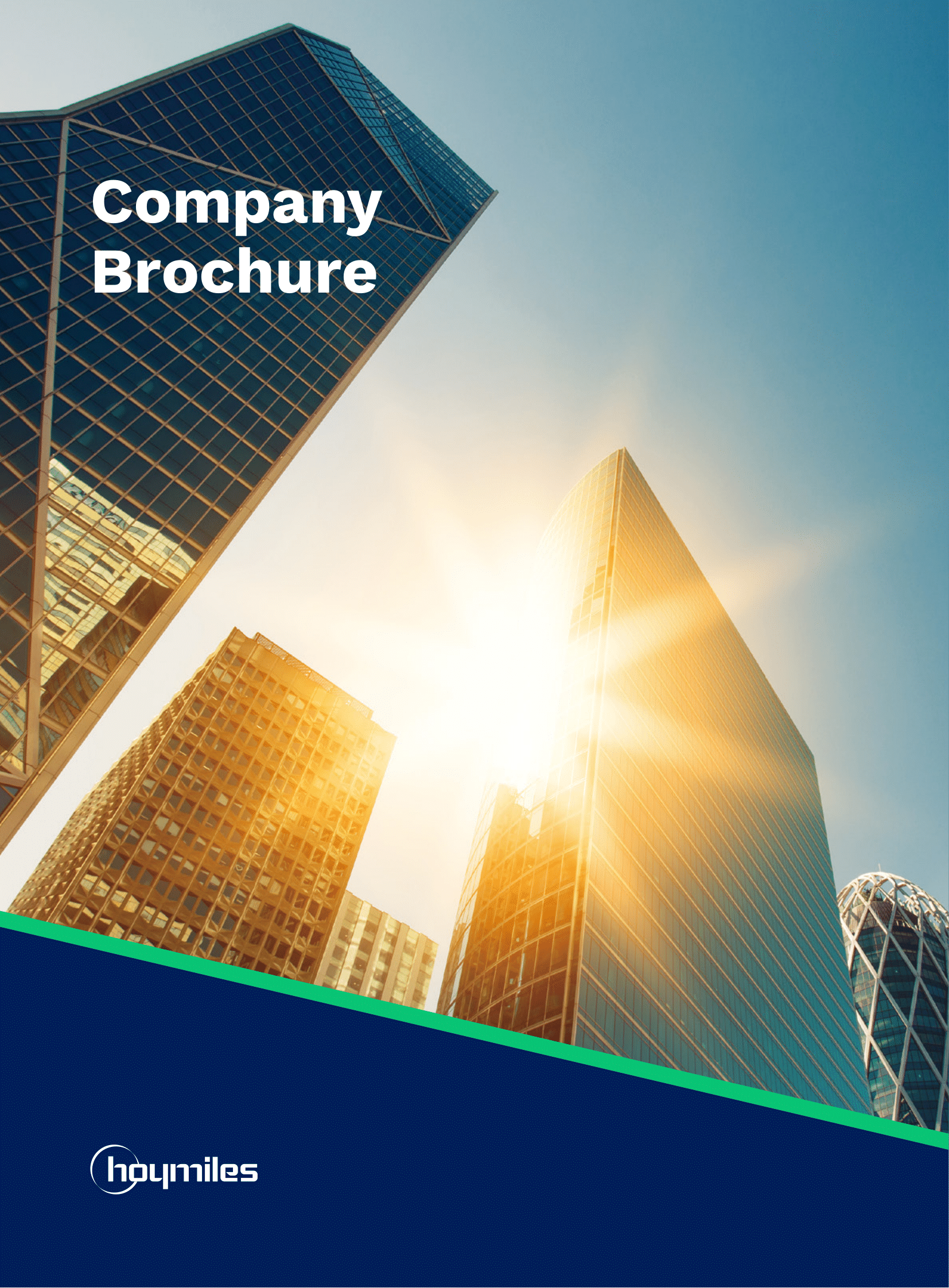 Hoymiles_Company Brochure_Global_V202109_M-10258162-01
